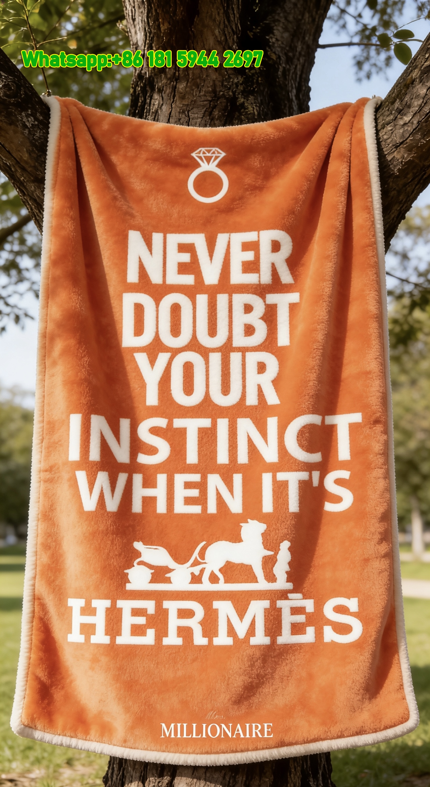 Hermès Never Doubt Your Instinct Flannel Fleece Throw Blanket IMG_4998